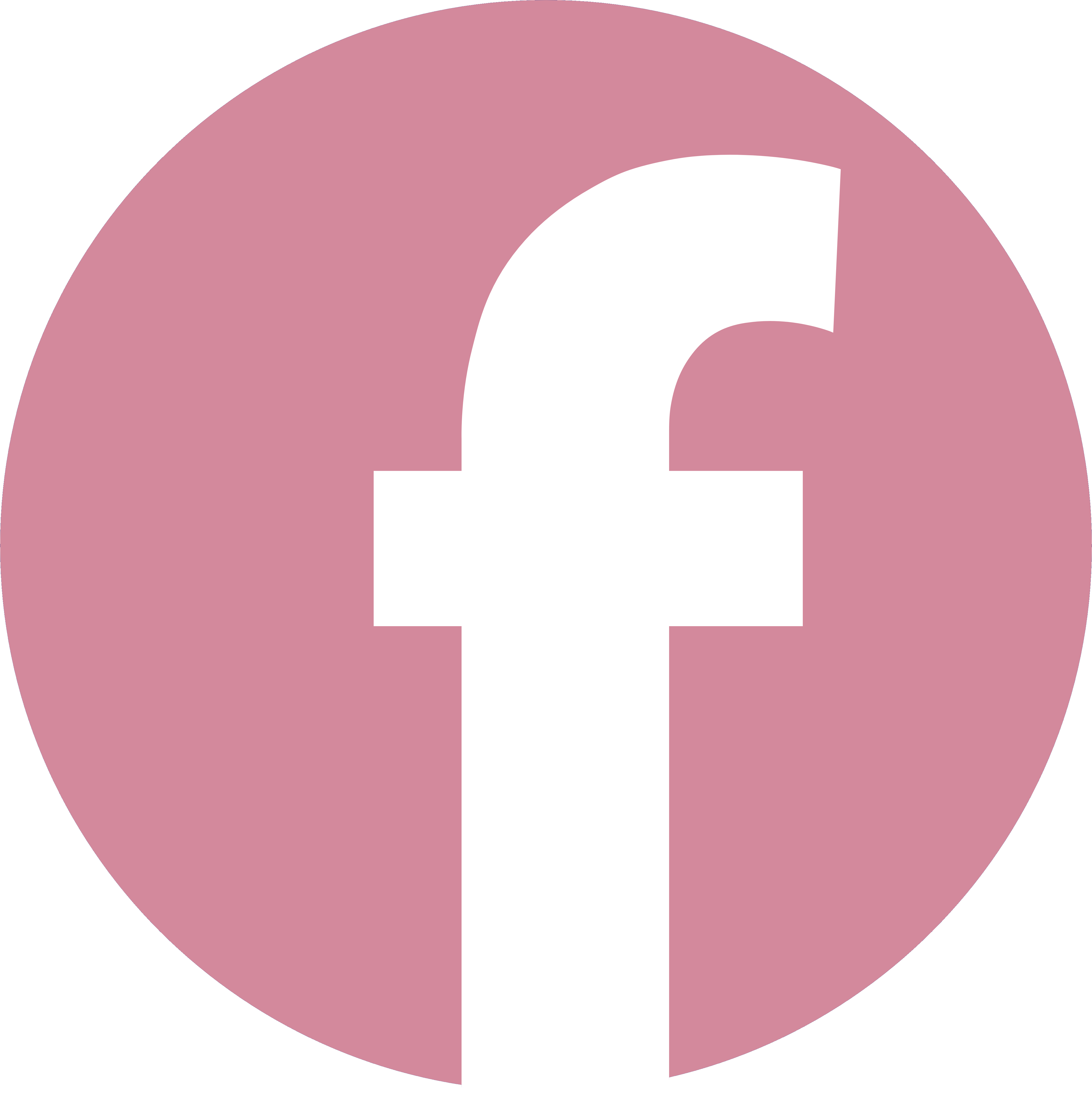 Facebook Icon