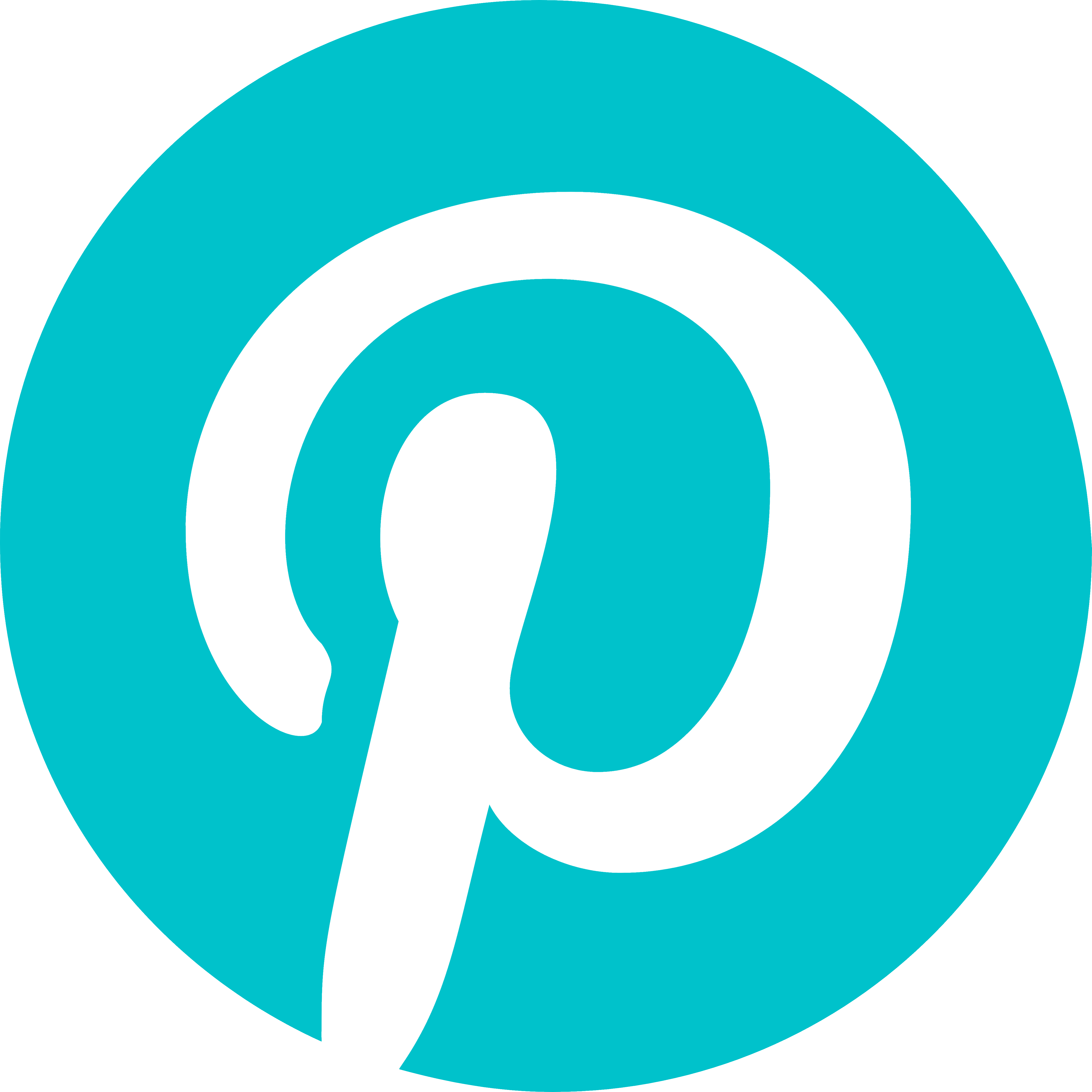 Pinterest Icon