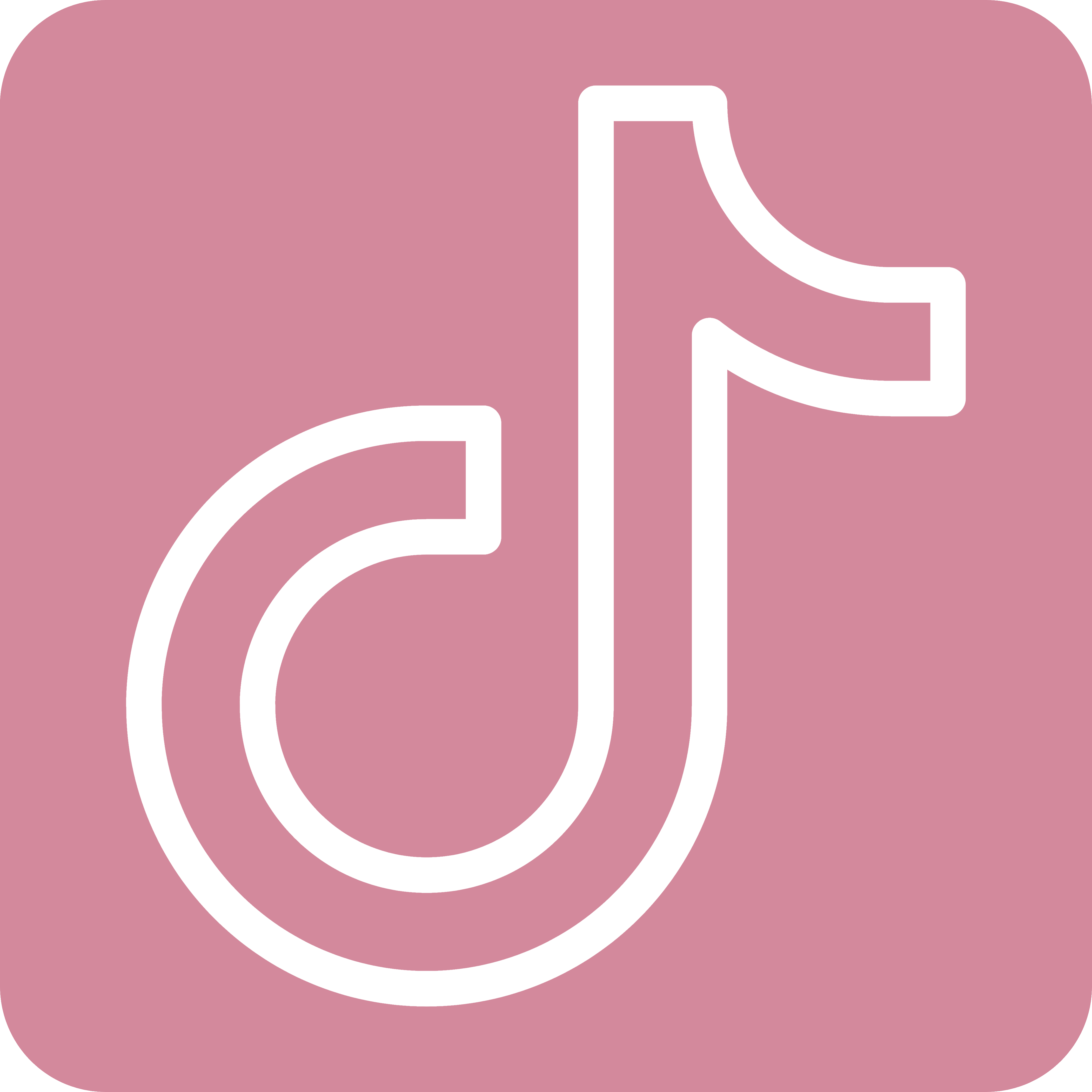 TikTok Icon